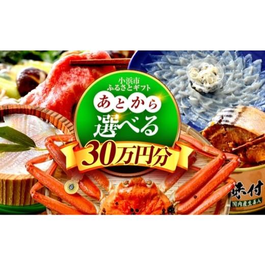 ふるさと納税 フグ 福井県 小浜市  あとから選べる 福井県小浜市ふるさとギフト 30万円分 海産物 箸 お米 スイーツ あとから ギフト BFDV020の画像