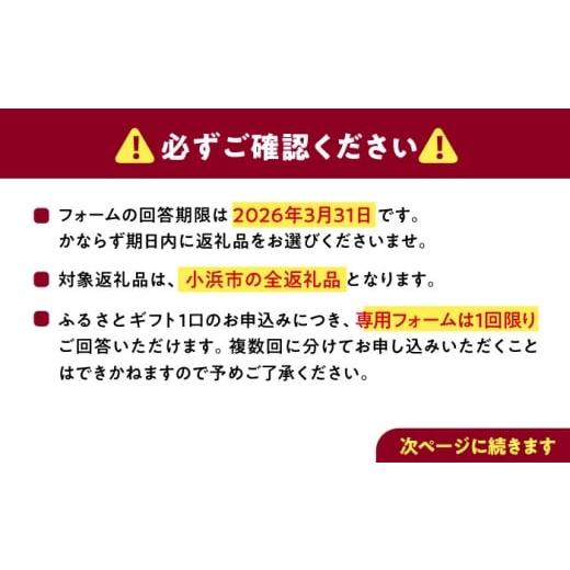 ふるさと納税 フグ 福井県 小浜市  あとから選べる 福井県小浜市ふるさとギフト 30万円分 海産物 箸 お米 スイーツ あとから ギフト BFDV020の画像