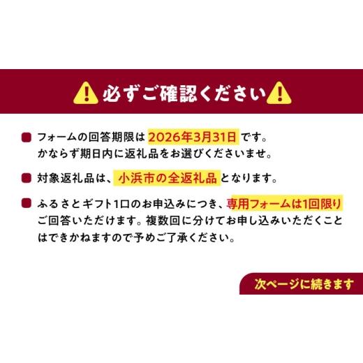 ふるさと納税 フグ 福井県 小浜市  あとから選べる 福井県小浜市ふるさとギフト 30万円分 海産物 箸 お米 スイーツ あとから ギフト BFDV020_5