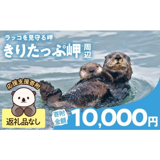 ふるさと納税 自治体にお任せ 北海道 浜中町 ラッコを見守る岬