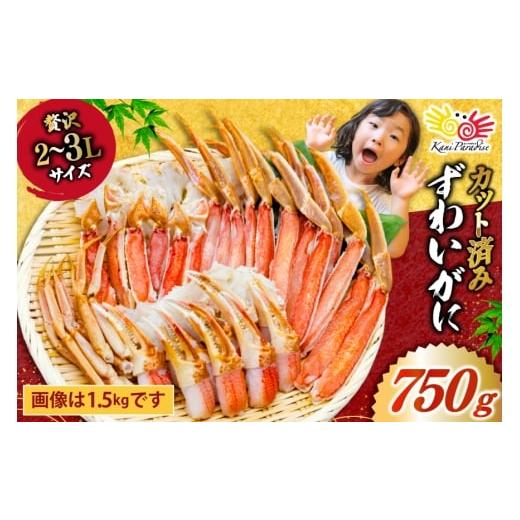ふるさと納税 カニ ずわいガニ 宮城県 気仙沼市 11月配送 カット済 生 ずわいがに むき身 セット 総重量 750g (正味重量600g) 2-3Lサイズ カネダイ 宮城県 気…