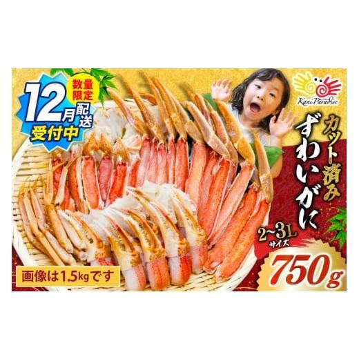 ふるさと納税 カニ ずわいガニ 宮城県 気仙沼市 12/1〜15日配送 カット済 生 ずわいがに むき身 セット 総重量 750g (正味重量600g) 2-3Lサイズ カネダイ 宮…