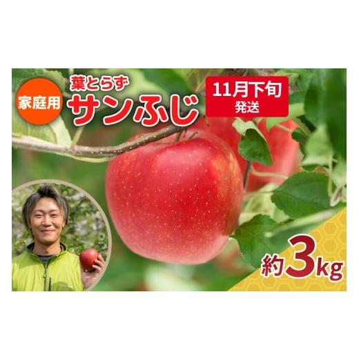ふるさと納税 りんご 青森県 五所川原市 2025年11月下旬発送 りんご 3kg 程度 葉とらず サンふじ 11月 12月 家庭用 青森産 りんご ふじ サンふじりんご 葉と…