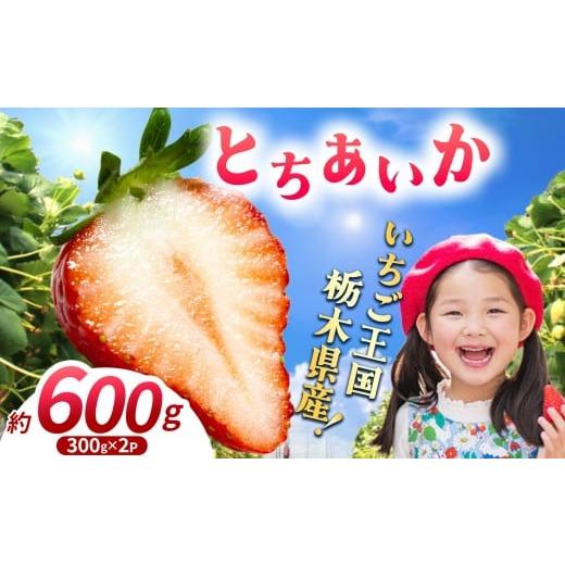 ふるさと納税 いちご 栃木県 那珂川町 先行予約 期間限定 那珂川町産とちあいか 12月発送分 300g×2 |いちご とちあいか ジューシー フルーティー 大きい 新…