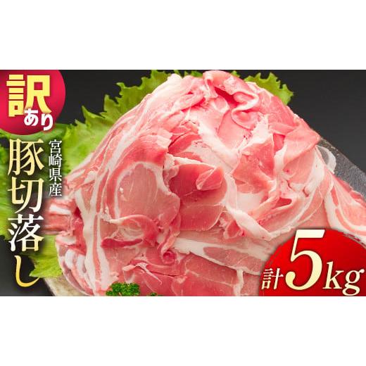 ふるさと納税 豚肉 宮崎県 新富町 配送月が選べる 小分けで便利 10パックでお届け 訳あり 宮崎県産 豚切落し 5kg 2026年1月にお届け C325-2506-202601 2026年…