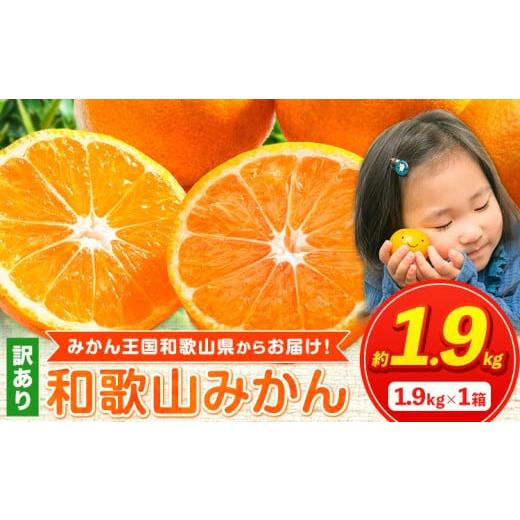 ふるさと納税 果物類 みかん 和歌山県 紀の川市 みかん 人気ランキング ランクイン みかん王国和歌山よりお届け 訳ありみかん サイズ不選別 選べる内容量 お試…