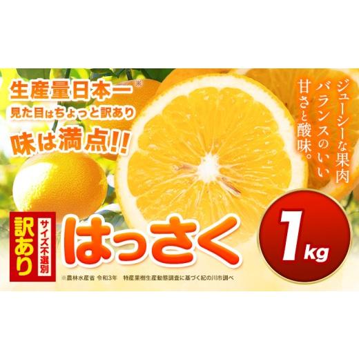 ふるさと納税 みかん・柑橘類 和歌山県 紀の川市 見た目は訳あり中身は変わらぬ美味しさ ご家庭用 はっさく 約1kg (サイズ不選別) 早生・晩生指定不可[2027年…