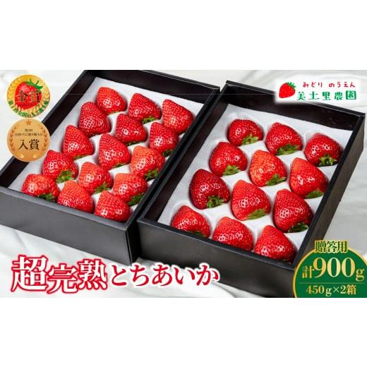ふるさと納税 いちご 栃木県 茂木町 いちご 「茂木完熟いちご」 いちご選手権金賞 とちあいか ギフト 450g × 2箱 合計900g 3月以降発送 | いちご イチゴ 苺 …