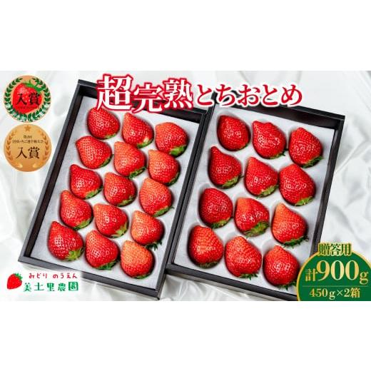 ふるさと納税 いちご 栃木県 茂木町 先行受付:2月以降発送 いちご「茂木完熟いちご」 美土里農園の朝採れ とちおとめ ギフト 450g×2箱 合計 900g | いちご…
