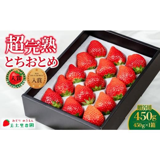 ふるさと納税 いちご 栃木県 茂木町 先行受付:1月中旬以降発送 いちご「茂木完熟いちご」 美土里農園の朝採れ とちおとめギフト 450g ×1箱 | いちご イチ…
