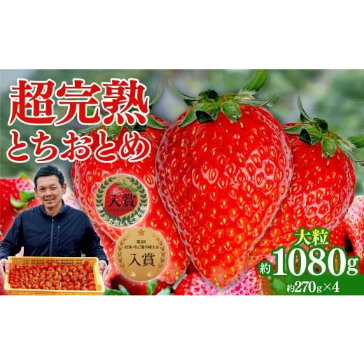 ふるさと納税 いちご 栃木県 茂木町 いちご 「茂木完熟いちご」 第1回いちご選手権入賞 とちおとめ 大粒 約270g×4 合計 約1080g 3月以降発送 | いちご イチ…