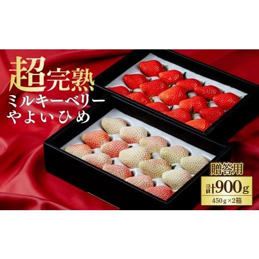 ふるさと納税 いちご 栃木県 茂木町 先行受付:2月以降発送 いちご 鈴木ファーム ギフト やよいひめ×ミルキーベリー 900g (450g×2箱) | いちご イチゴ 苺 …