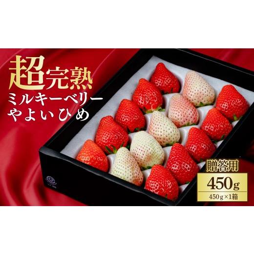 ふるさと納税 いちご 栃木県 茂木町 先行受付:3月以降発送 いちご 鈴木ファーム ギフト やよいひめ×ミルキーベリー 450g ×1箱 | いちご イチゴ 苺 やよい…