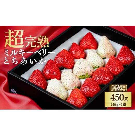 ふるさと納税 いちご 栃木県 茂木町 先行受付:3月以降発送 いちご 鈴木ファームの完熟&amp;朝摘み とちあいか & ミルキーベリー ギフト 450g×1箱 | いちご…