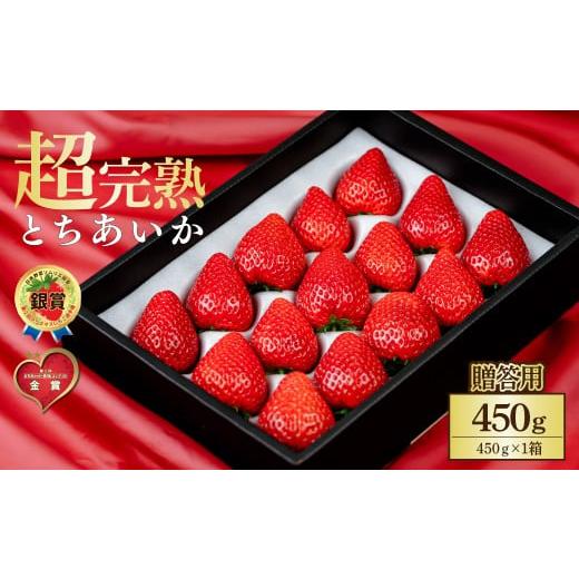 ふるさと納税 いちご 栃木県 茂木町 先行受付:2月以降発送 いちご 鈴木ファームの完熟&朝どれ とちあいか ギフト450g×1箱 | いちご イチゴ 苺 とちあいか …