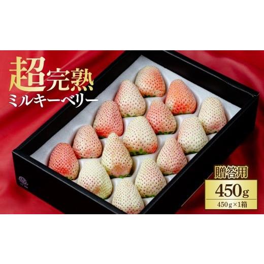 ふるさと納税 いちご 栃木県 茂木町 先行受付:2月以降発送 鈴木ファーム厳選『幻のミルキーベリー』ギフト 450g×1箱 | いちご イチゴ 苺 ミルキーベリー …