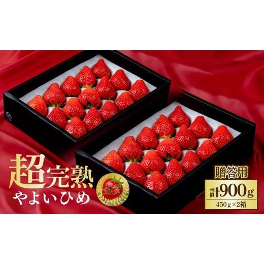 ふるさと納税 いちご 栃木県 茂木町 先行受付:1月中旬以降発送 いちご 鈴木ファームの朝摘み やよいひめ ギフトセット900g(450g×2箱) | いちご イチゴ 苺 …