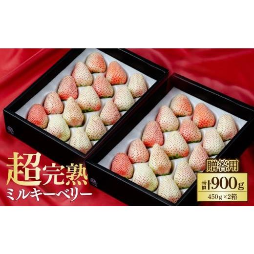 ふるさと納税 いちご 栃木県 茂木町 先行受付:1月中旬以降発送 鈴木ファーム厳選『幻のミルキーベリー』ギフト900g(450g×2箱) | いちご イチゴ 苺 ミルキー…