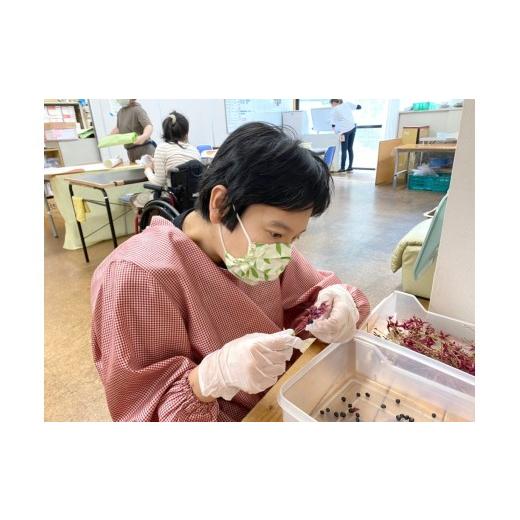 ふるさと納税 小物 ストール・マフラー 岐阜県 -  百々染ストール 自然豊かな岐阜の草花で染め上げる草木染ストールの画像