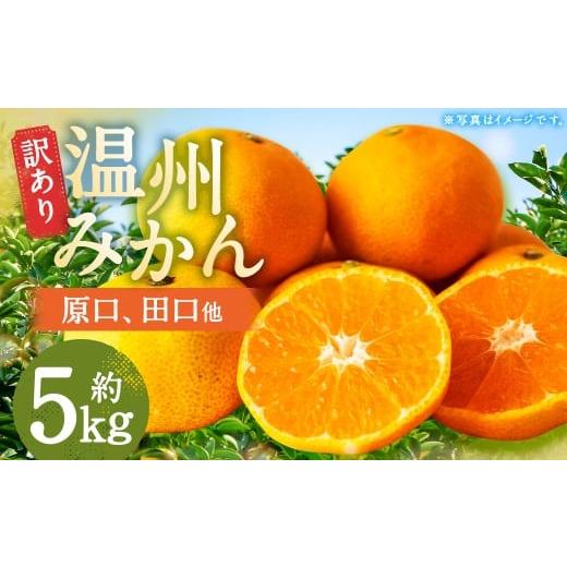 ふるさと納税 果物類 みかん 長崎県 時津町 訳あり 長崎県時津町産 温州みかん (原口、田口他) 約5kg (2L〜3Lサイズ) 年内発送:2025年11月下旬〜12月下…
