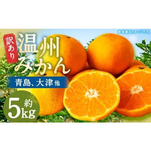 ふるさと納税 果物類 みかん 長崎県 時津町 訳あり 長崎県時津町産 温州みかん (青島、大津他) 約5kg (2L〜3Lサイズ) 2025年12月下旬〜2026年1月下旬迄発…