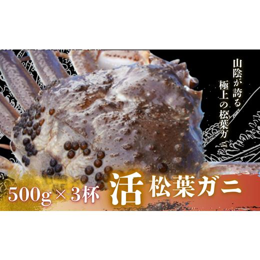 ふるさと納税 カニ 島根県 西ノ島町 松葉ガニ500g×3杯[活]松葉ガニ マツバガニ 冬の旬。贅沢の極みをご家庭で 松葉カニ カニ 蟹 新鮮 旬 プレゼント 贈与 …