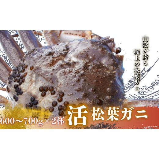 ふるさと納税 カニ 島根県 西ノ島町 松葉ガニ600g〜700g×2杯[活]松葉ガニ マツバガニ 冬の旬。贅沢の極みをご家庭で 松葉カニ タグ付き カニ 蟹 新鮮 旬 プ…