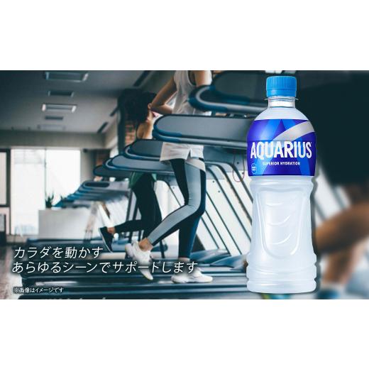 ふるさと納税 水・ミネラルウォーター 500mL〜999mL 愛媛県 西条市  3回定期便 アクエリアス 500mlPET 24本入り 1ケース　愛媛県西条市 ｜ スポーツドリンク …_6