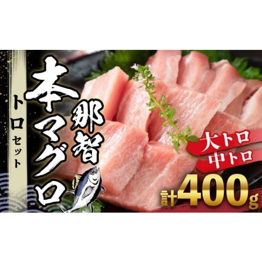 ふるさと納税 マグロ 和歌山県 那智勝浦町 本マグロ トロセット 400g | 年末年始お届け可能 大トロ 中トロ 鮪 刺身 寿司 お正月