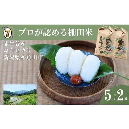 ふるさと納税 米 コシヒカリ 新潟県 糸魚川市 2026年1月発送 令和7年産 新潟県能生谷産コシヒカリ 5kg×2袋 計10kg プロも認める棚田米 農家直送 2025年産 JA…