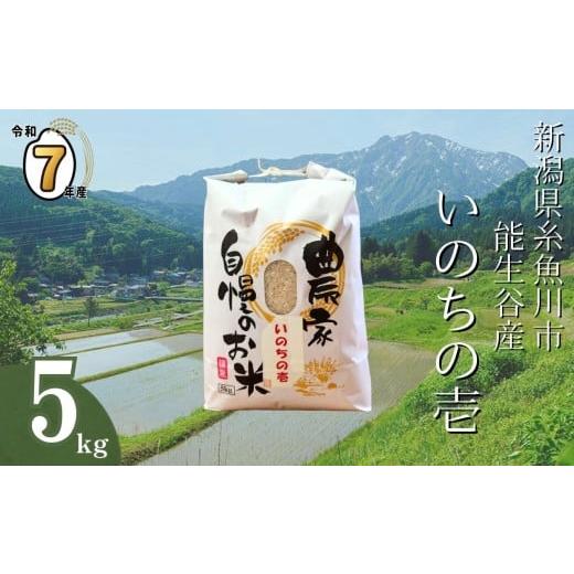 ふるさと納税 米 新潟県 糸魚川市 2025年11月発送 令和7年産 新潟県能生谷産『いのちの壱』5kg(白米)棚田米 農家直送 2025年産 JATs有限会社 新潟県 糸魚川…