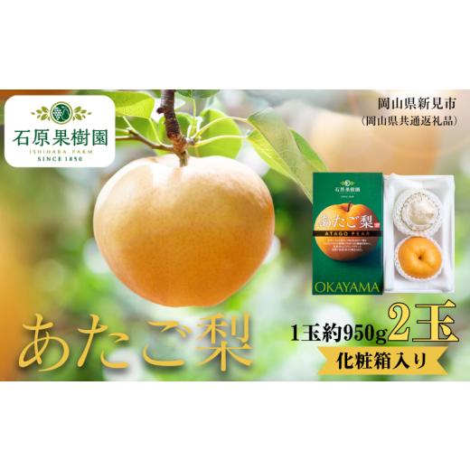 ふるさと納税 梨 岡山県 新見市 あたご梨 2玉 贈答 化粧箱 赤秀 約950g玉 先行予約 2026年11月中旬から順次発送