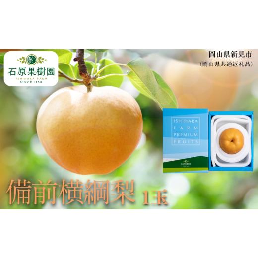 ふるさと納税 梨 岡山県 新見市 備前横綱梨 1玉箱 赤秀 (1〜1.5kg玉) 先行予約 2026年11月中旬から順次発送
