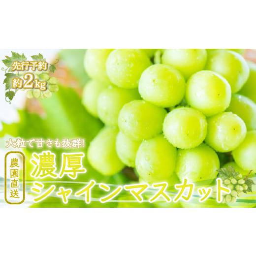 ふるさと納税 ぶどう マスカット 山梨県 笛吹市 2026年発送 先行予約 農園直送 濃厚シャインマスカット 約2.0kg クール便配送 109-007-26y 2026年発送