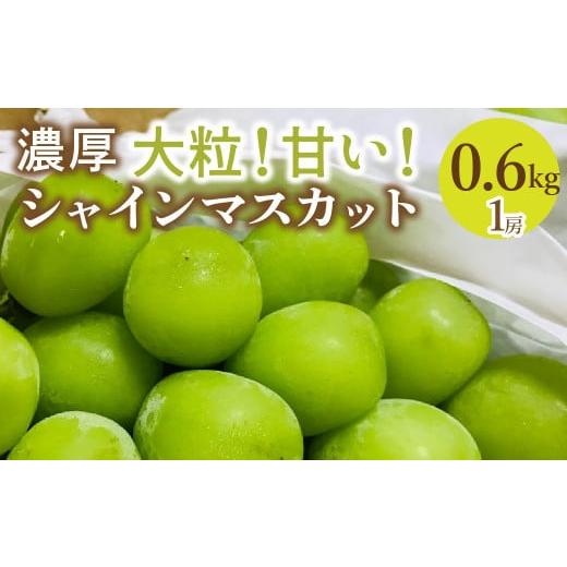 ふるさと納税 ぶどう マスカット 山梨県 笛吹市 2026年発送 先行予約 農園直送 シャインマスカット 約600g(1房入り) 109-017-26y 2026年発送