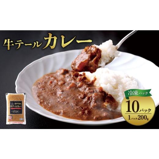 ふるさと納税 肉 宮崎県 えびの市 牛テール カレー セット レトルト 冷凍(200g × 10パック 計 2,000g) ビーフカレー 肉 牛 レトルトカレー レトルト食品 ギフ…