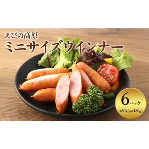 ふるさと納税 ハム・ソーセージ・ハンバーグ 宮崎県 えびの市 2026年2月発送 えびの高原 ミニサイズ ウインナー 80g×6パック 合計 480g 豚肉 牛肉 人気 おか…