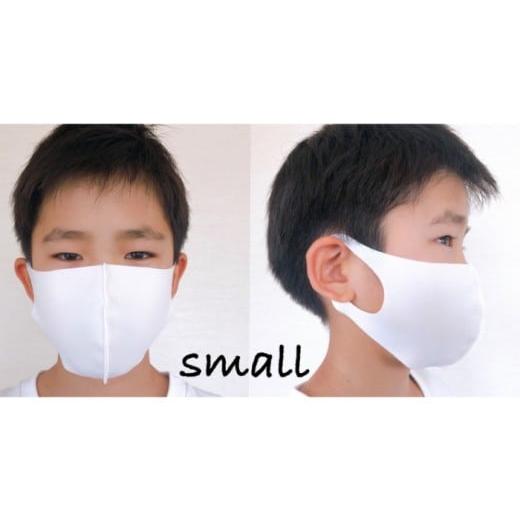 ふるさと納税 防災グッズ 岐阜県 岐阜市 日本製 エチケットマスク スモールサイズ 10枚(2枚×5セット) 対策 冷感 立体 岐阜市 / ビッグ宮田
