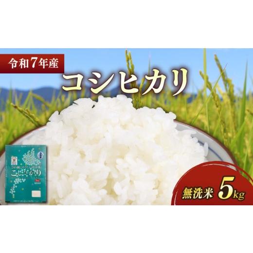 ふるさと納税 無洗米 滋賀県 彦根市 無洗米 令和7年 彦根産 コシヒカリ 5kg こしひかり お米 白米 無洗米 米 こめ コメ おこめ ご飯 ごはん おすすめ 送料無…