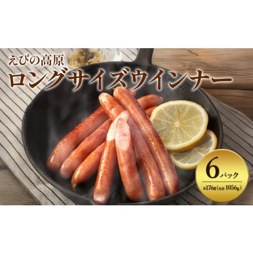 ふるさと納税 ハム・ソーセージ・ハンバーグ 宮崎県 えびの市 2025年11月発送 えびの高原 ロングサイズウインナー 176g×6パック 合計 1056g 豚肉 牛肉 人気 …