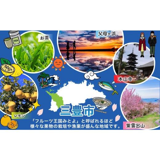 ふるさと納税 御菓子 詰合せ 香川県 三豊市 定期便 毎月 全6回 焙煎入り合わせる木ノ実 4種 無塩 500g 入り合わせる木ノ実 木ノ実 扁桃 くるみ カシューナッツ木ノ実 マ…