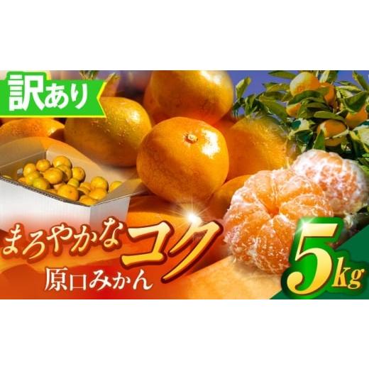 ふるさと納税 果物類 みかん 長崎県 川棚町 訳あり 原口みかん 5kg おおたに農園