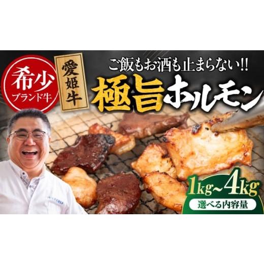 ふるさと納税 牛肉 ホルモン 愛媛県 大洲市 肉 冷凍 愛姫牛 肉屋のこだわりお惣菜 タレ漬けミックスホルモン 500g×2パック 1kg 愛媛県大洲市/有限会社 木村…