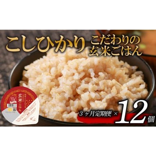 ふるさと納税 玄米 大阪府 松原市 定期便 3回 こしひかり 玄米ごはんパック 120g 12個 玄米 米 お米 ごはん ご飯 こめ パックライス パックご飯 パックごはん …