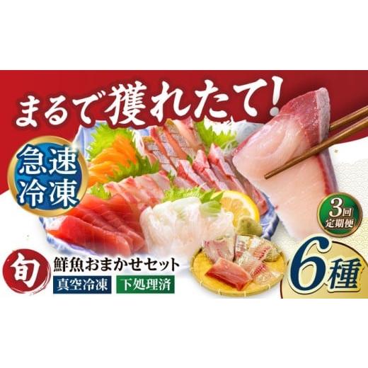 ふるさと納税 旬の鮮魚等 長崎県 五島市  3回定期便 海鮮 超速冷凍鮮魚6種（5種+焼物用1種）五島市／金沢鮮魚 PEP065 刺身 さしみ 刺し身 刺身セット 刺身 刺…の画像