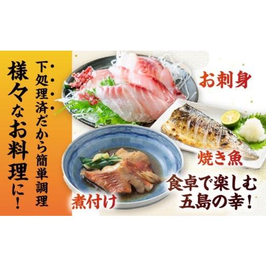 ふるさと納税 旬の鮮魚等 長崎県 五島市  3回定期便 海鮮 超速冷凍鮮魚6種（5種+焼物用1種）五島市／金沢鮮魚 PEP065 刺身 さしみ 刺し身 刺身セット 刺身 刺…の画像