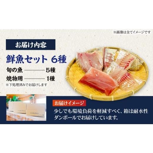 ふるさと納税 旬の鮮魚等 長崎県 五島市  3回定期便 海鮮 超速冷凍鮮魚6種（5種+焼物用1種）五島市／金沢鮮魚 PEP065 刺身 さしみ 刺し身 刺身セット 刺身 刺…の画像