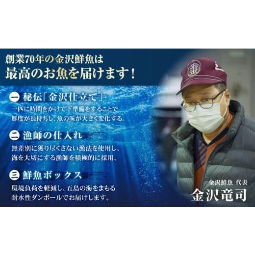 ふるさと納税 旬の鮮魚等 長崎県 五島市  3回定期便 海鮮 超速冷凍鮮魚6種（5種+焼物用1種）五島市／金沢鮮魚 PEP065 刺身 さしみ 刺し身 刺身セット 刺身 刺…の画像