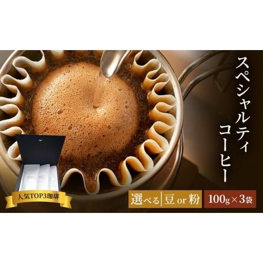 ふるさと納税 コーヒー コーヒー豆 佐賀県 鳥栖市 珈琲 クドー珈琲豆店 スペシャルティコーヒー 当店人気TOP3珈琲(豆 or 粉) 100g×3セット :粉 粉