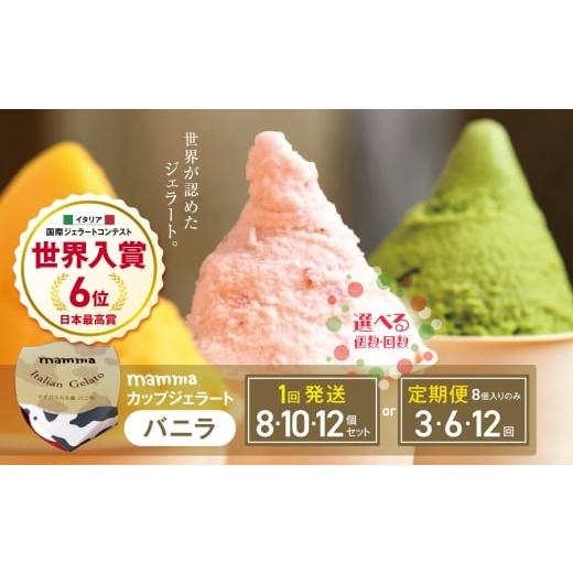 ふるさと納税 アイス・ヨーグルト ジェラート 奈良県 平群町 定期便3回 mammaカップジェラート バニラ 8個セット (毎月お届け) | アイス クリーム ジェラー…